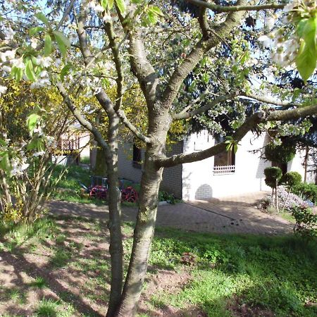 Ferienhaus Santo Villa Нордхаузен Екстериор снимка