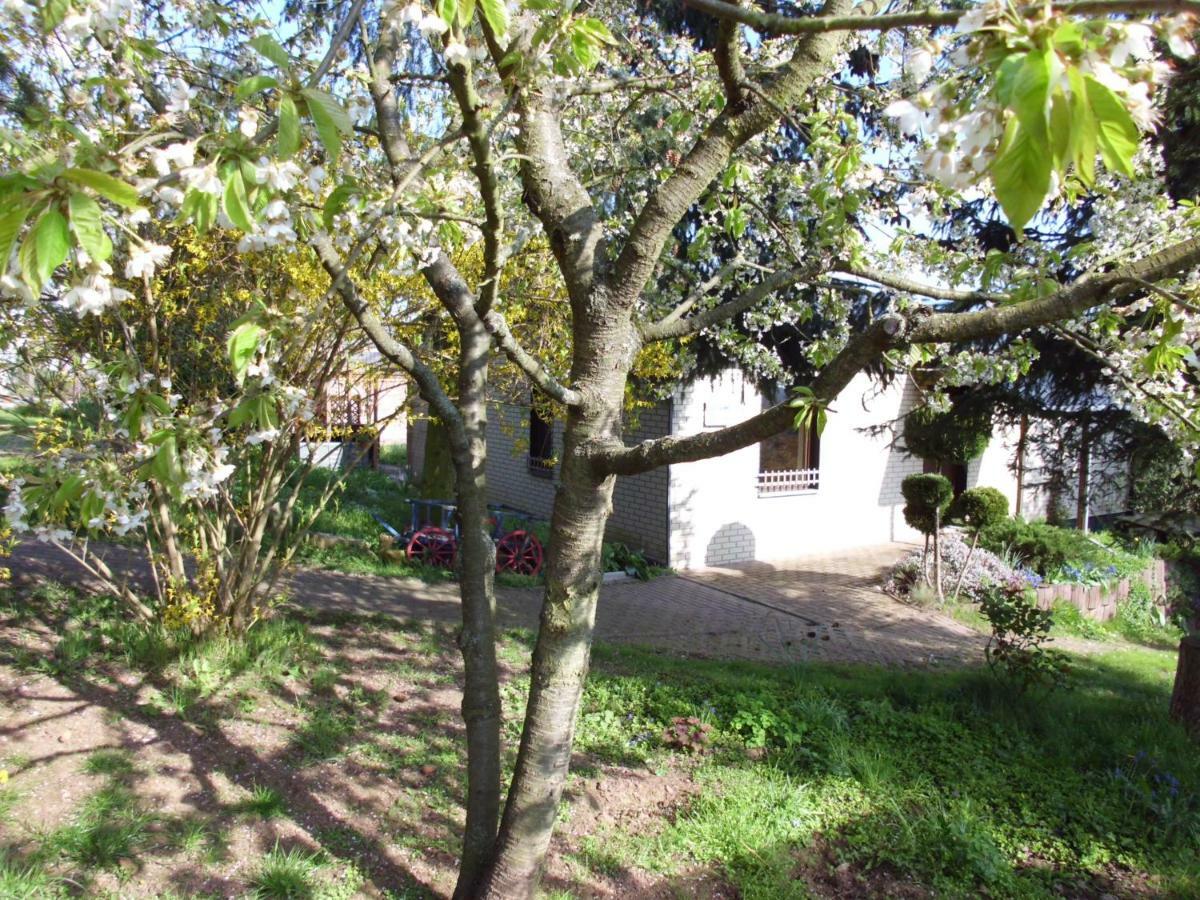 Ferienhaus Santo Villa Нордхаузен Екстериор снимка